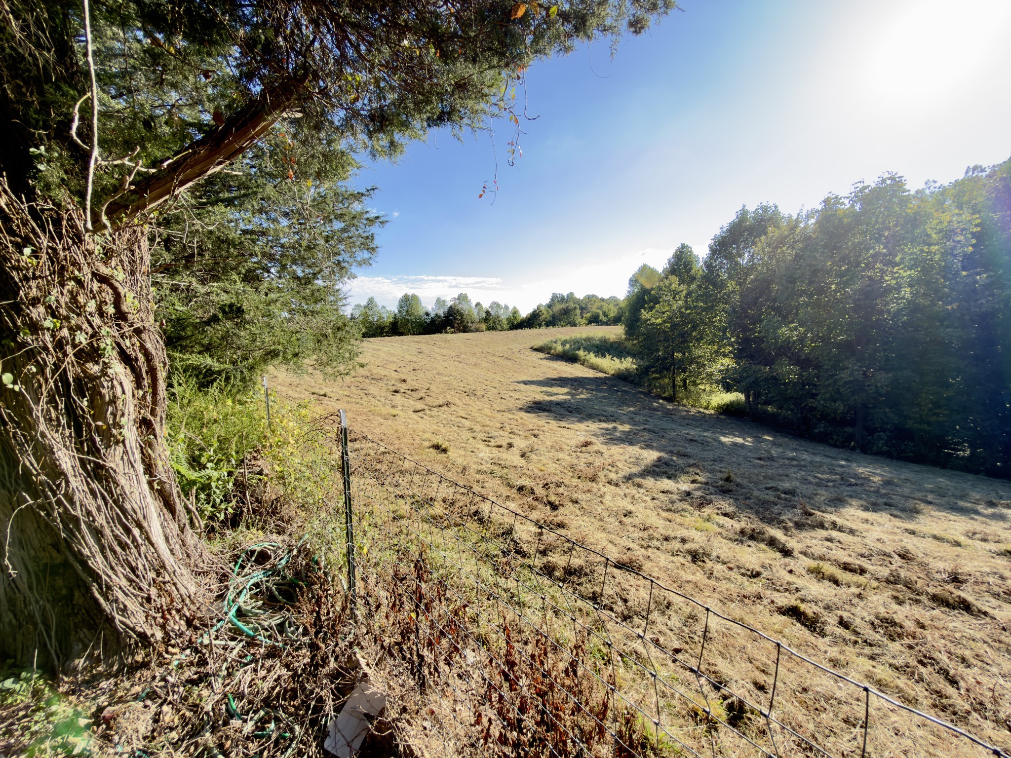 2210 Old Prospect Road Woodbury, TN 37190 - Photo 11 of 56