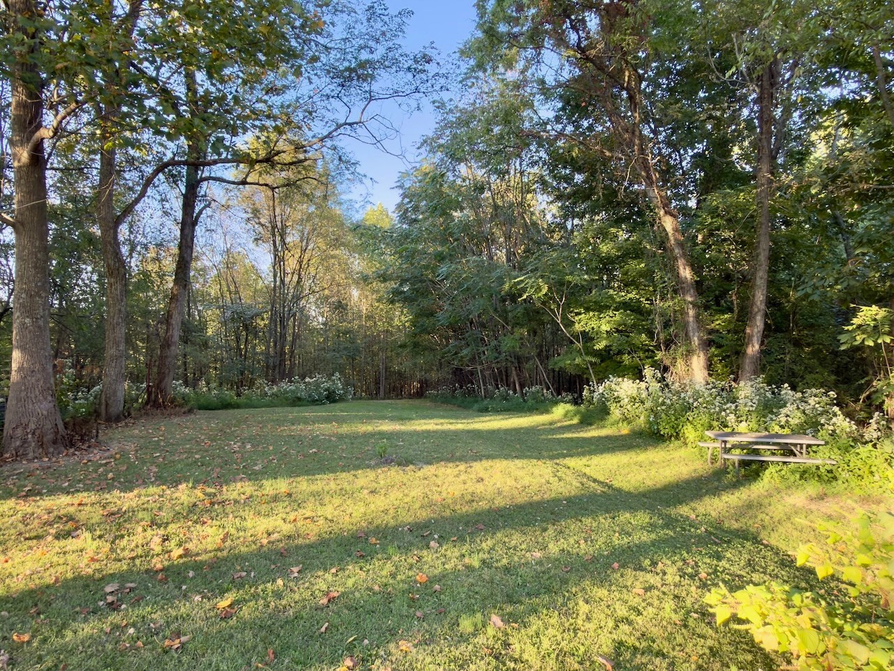 2210 Old Prospect Road Woodbury, TN 37190 - Photo 41 of 56