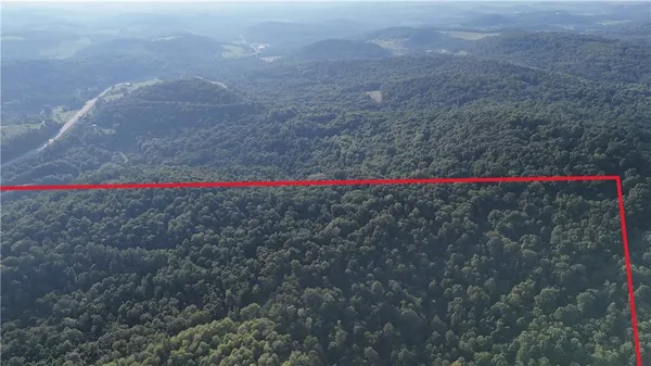$299,000 | 73 Acres /- Along Kunselman Road, Worthville, PA 15784