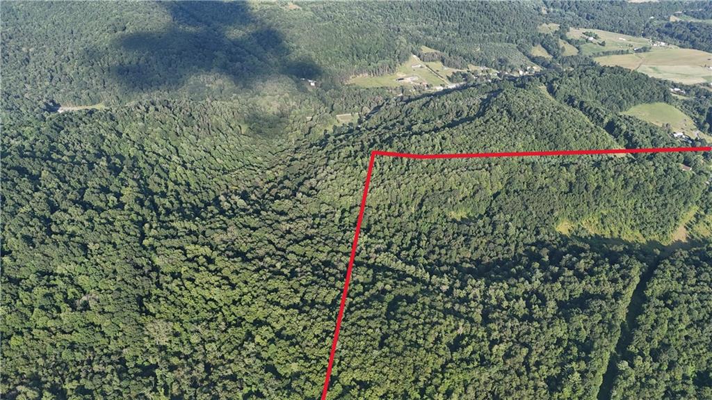 73 Acres /- Along Kunselman Road Worthville, PA 15784 - Photo 6 of 12