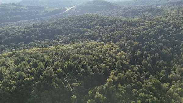 $299,000 | 73 Acres /- Along Kunselman Road, Worthville, PA 15784