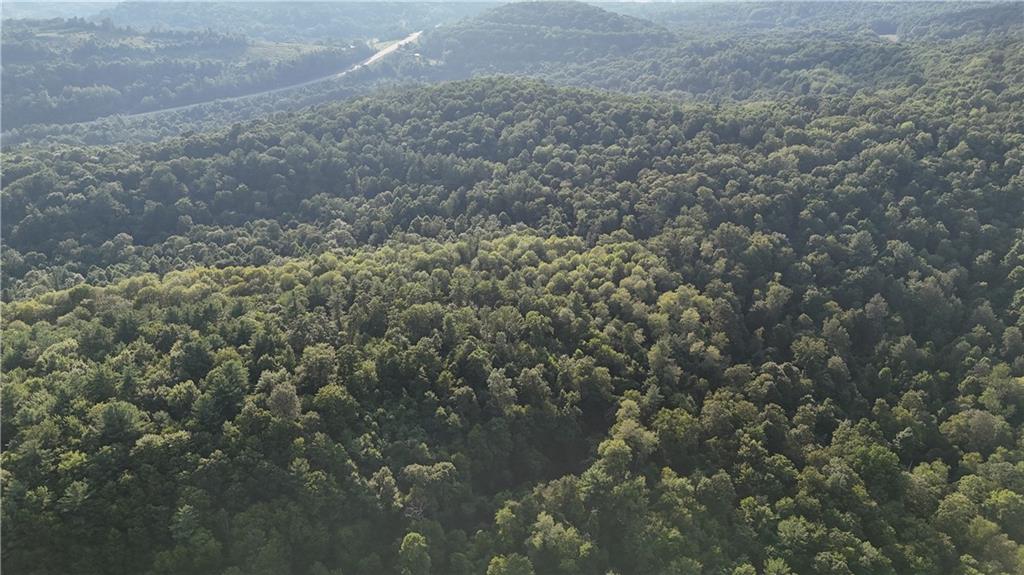 73 Acres /- Along Kunselman Road Worthville, PA 15784 - Photo 8 of 12 a view of a forest of a house