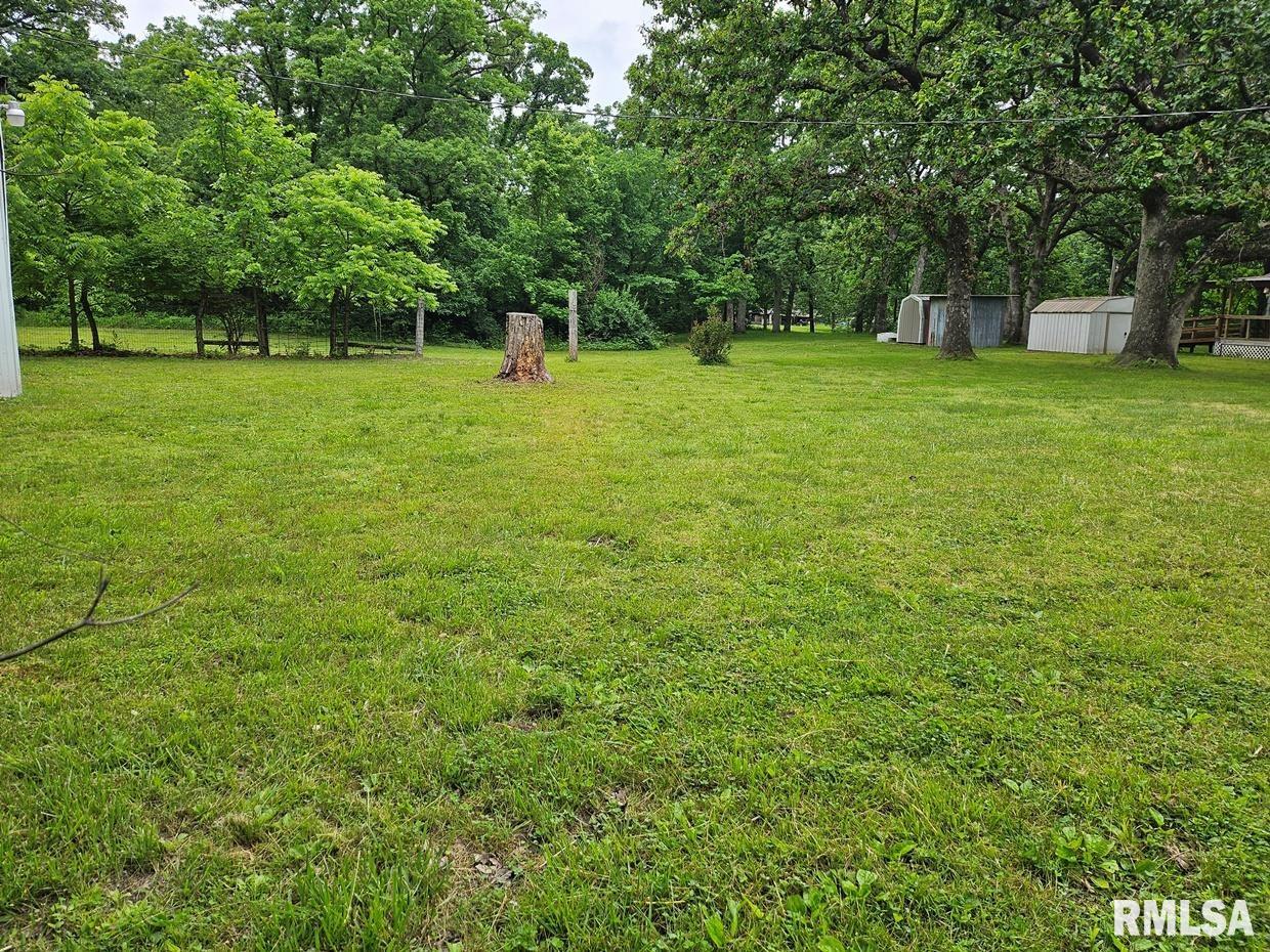 13973 Halliday Road Shipman, IL 62685 - Photo 19 of 66