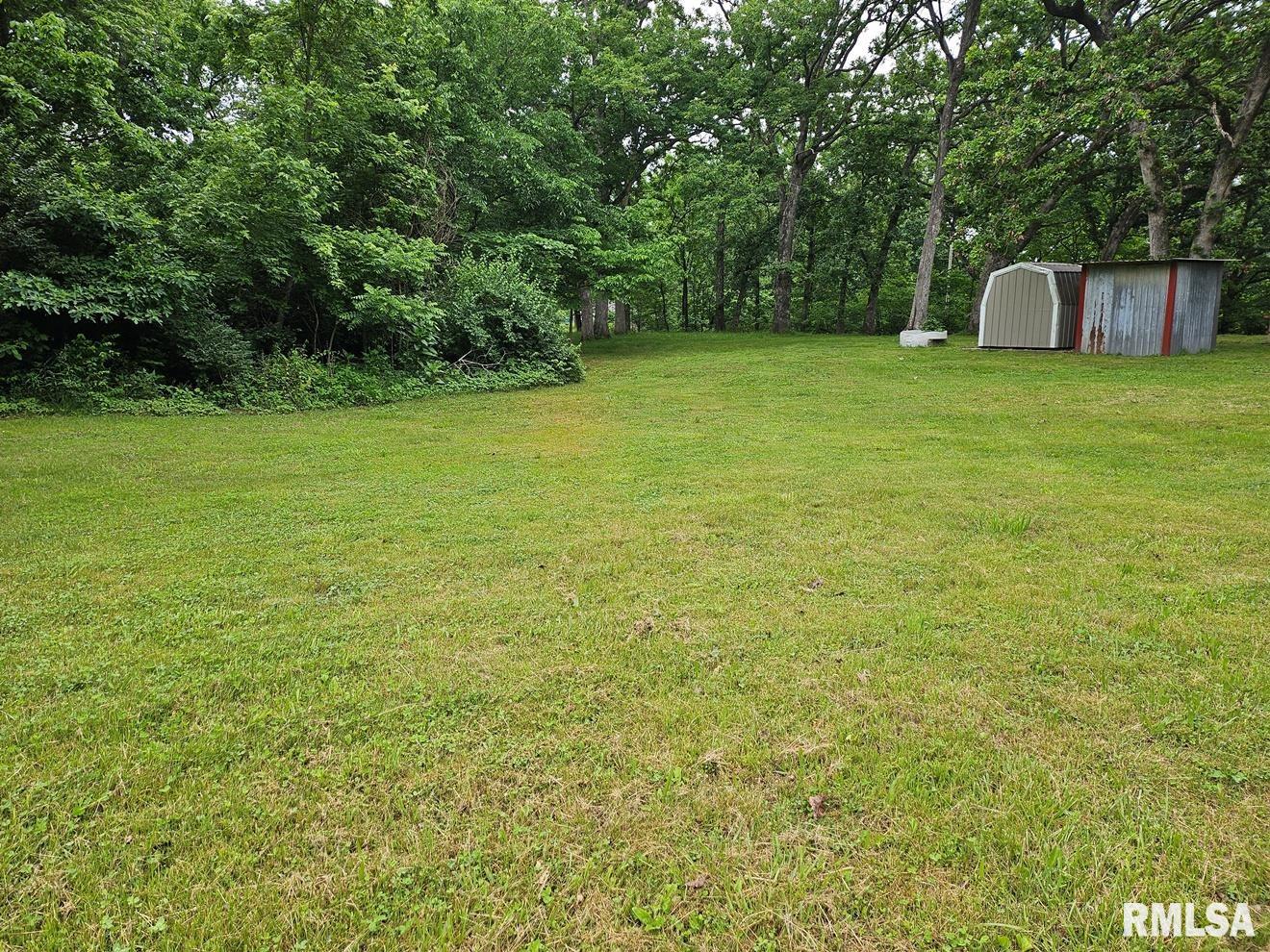 13973 Halliday Road Shipman, IL 62685 - Photo 20 of 66