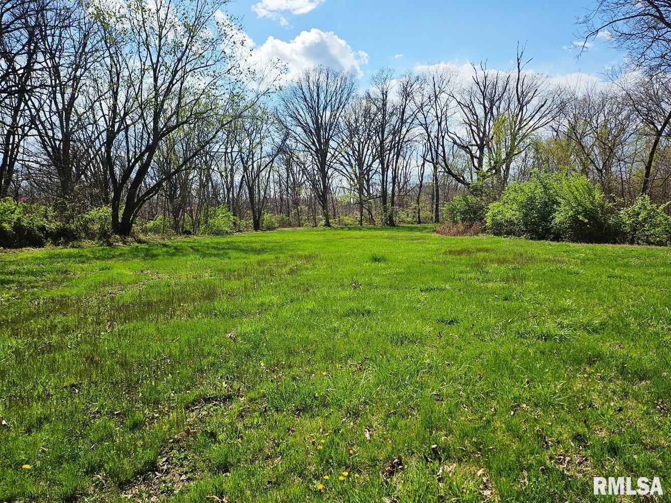 13973 Halliday Road Shipman, IL 62685 - Photo 2 of 66