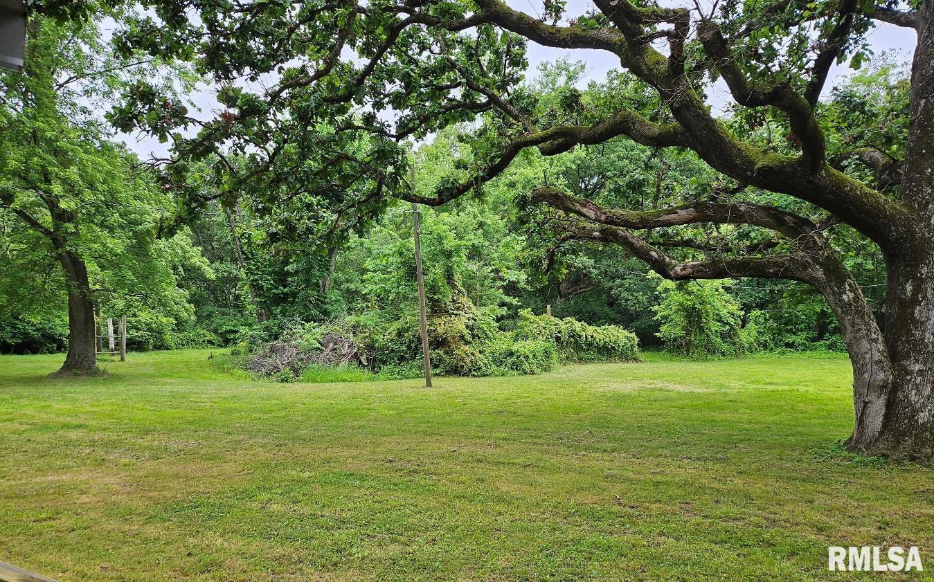 13973 Halliday Road Shipman, IL 62685 - Photo 21 of 66