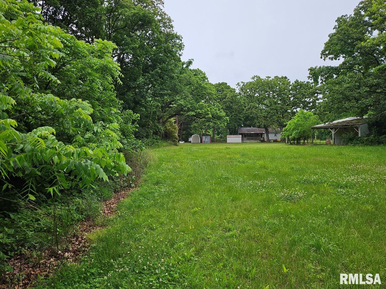 13973 Halliday Road Shipman, IL 62685 - Photo 22 of 66