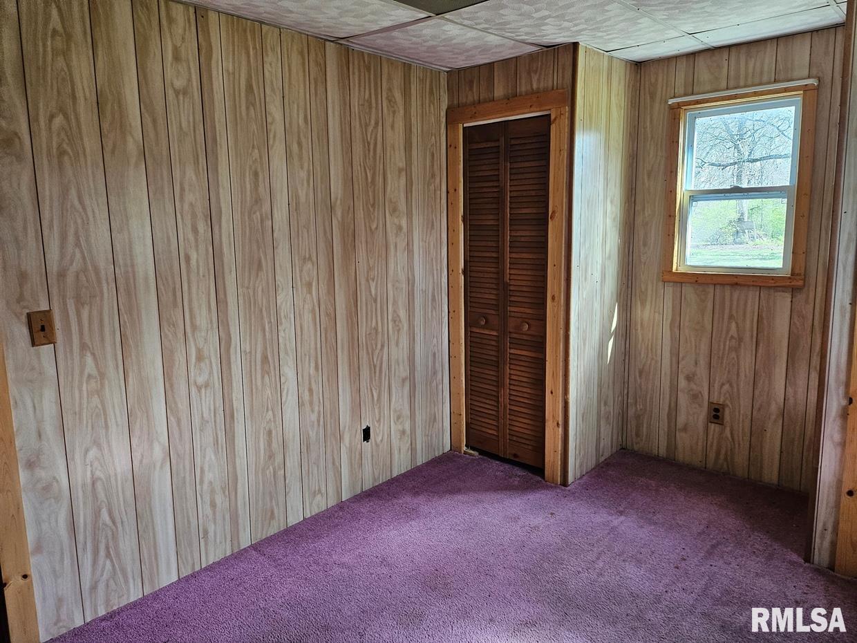 13973 Halliday Road Shipman, IL 62685 - Photo 43 of 66