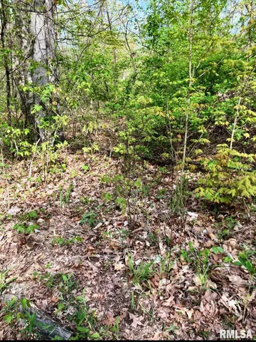 $265,000 | 13973 Halliday Road, Shipman, IL 62685