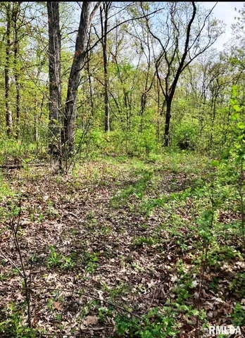 $265,000 | 13973 Halliday Road, Shipman, IL 62685