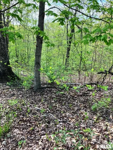 $265,000 | 13973 Halliday Road, Shipman, IL 62685