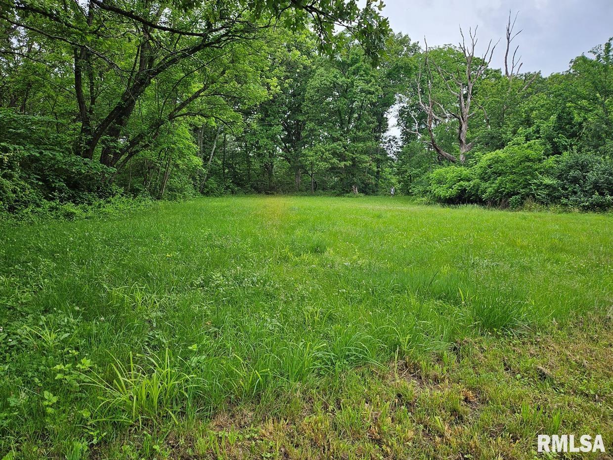 13973 Halliday Road Shipman, IL 62685 - Photo 51 of 66