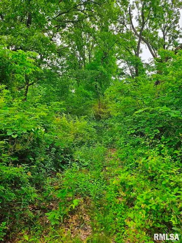 $265,000 | 13973 Halliday Road, Shipman, IL 62685