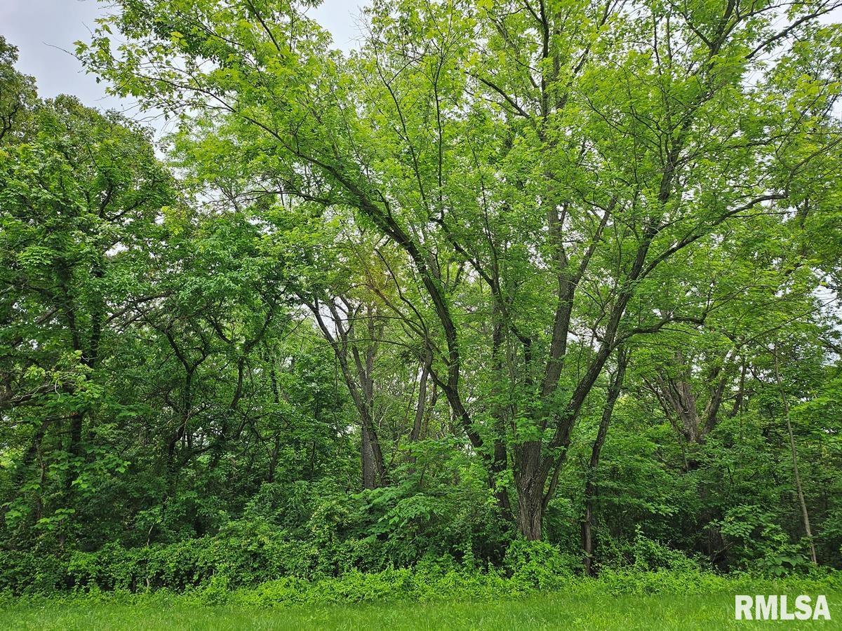 13973 Halliday Road Shipman, IL 62685 - Photo 55 of 66