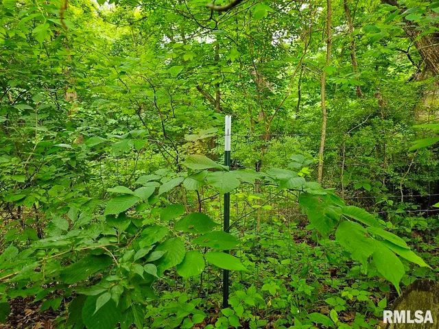 $265,000 | 13973 Halliday Road, Shipman, IL 62685