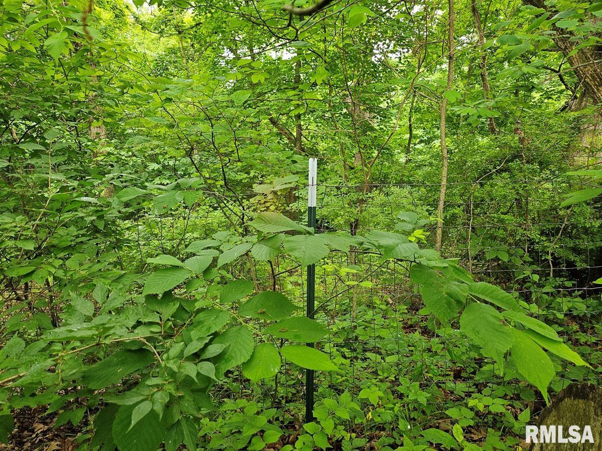 13973 Halliday Road Shipman, IL 62685 - Photo 56 of 66