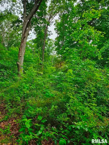 $265,000 | 13973 Halliday Road, Shipman, IL 62685