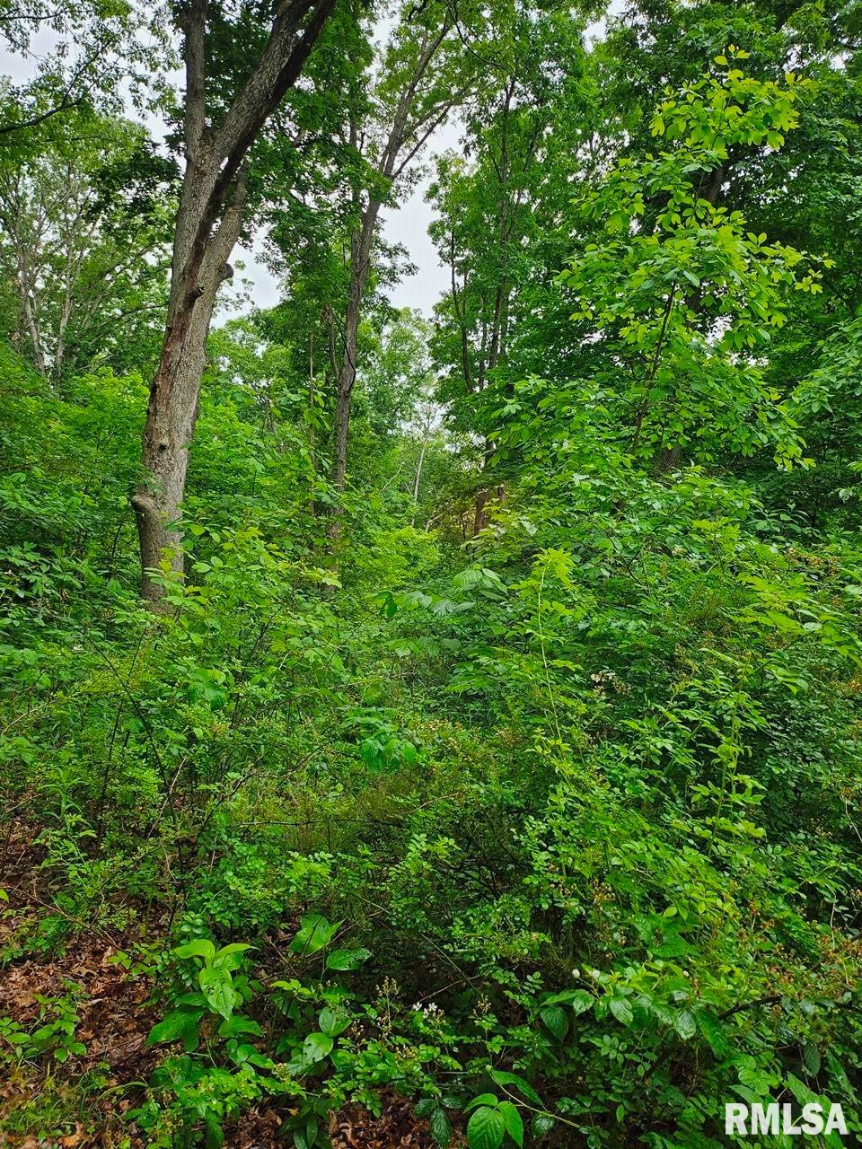 13973 Halliday Road Shipman, IL 62685 - Photo 57 of 66