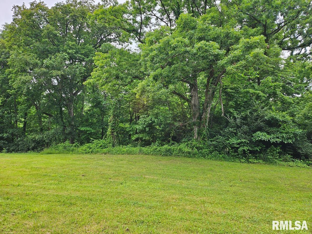 13973 Halliday Road Shipman, IL 62685 - Photo 58 of 66