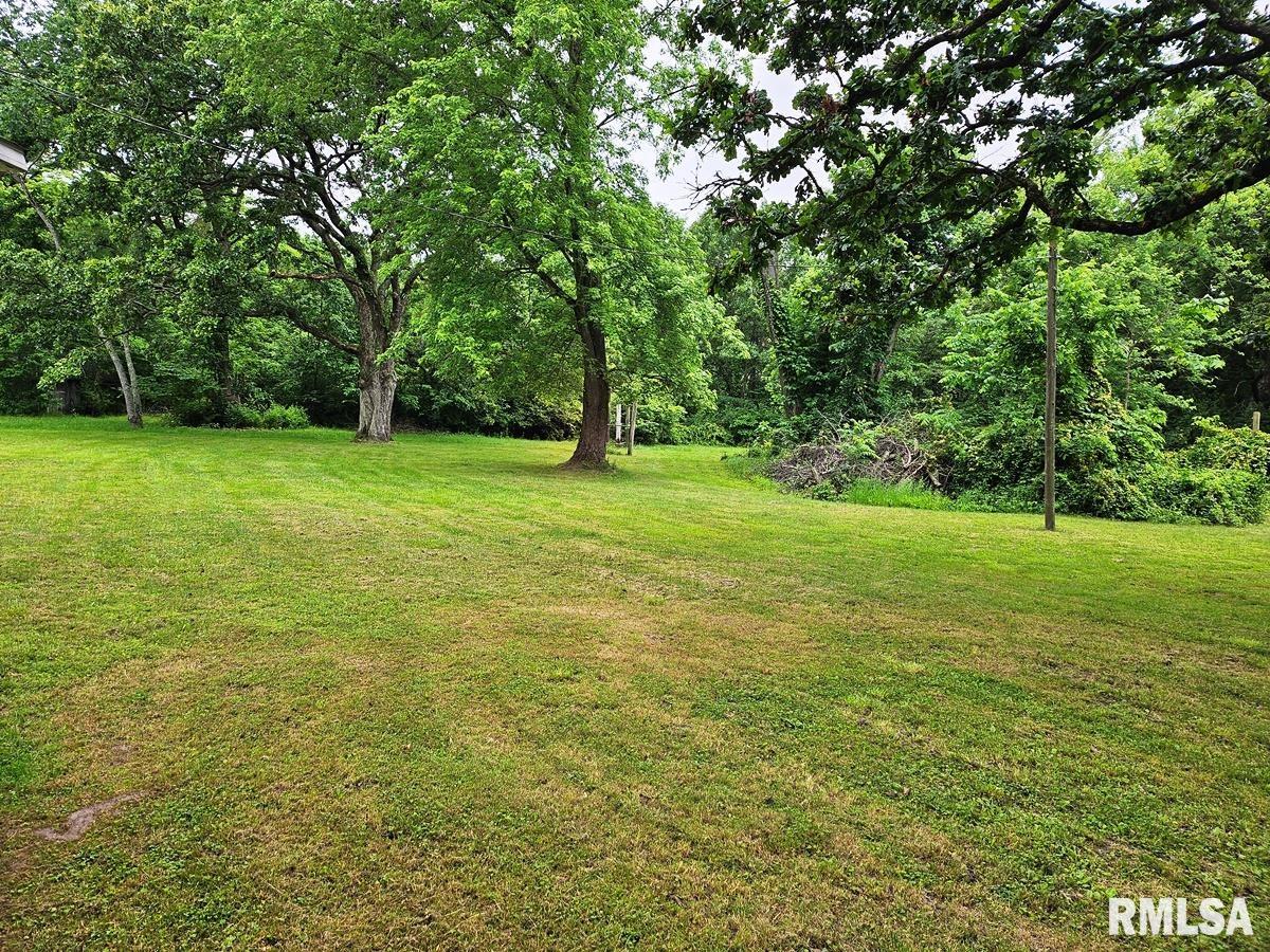 13973 Halliday Road Shipman, IL 62685 - Photo 59 of 66