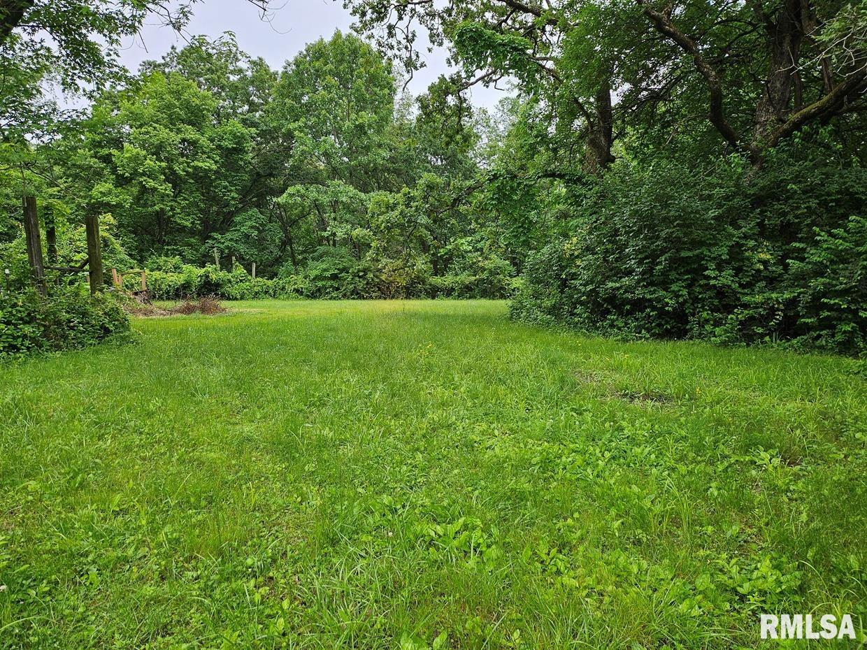 13973 Halliday Road Shipman, IL 62685 - Photo 60 of 66