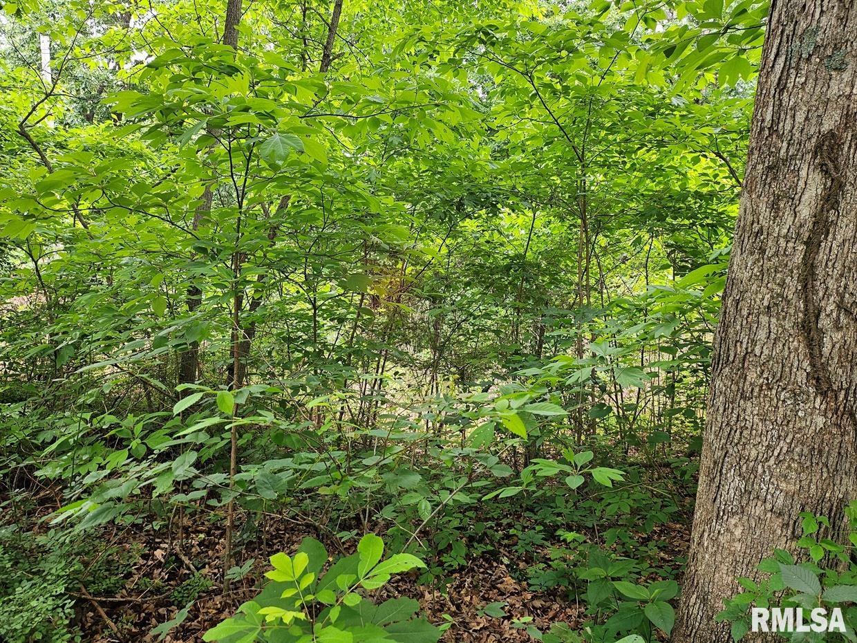 13973 Halliday Road Shipman, IL 62685 - Photo 61 of 66