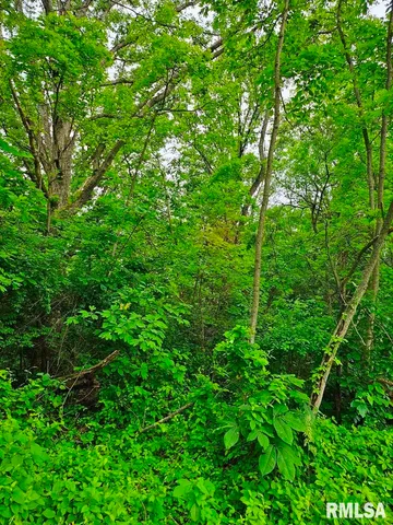 $265,000 | 13973 Halliday Road, Shipman, IL 62685