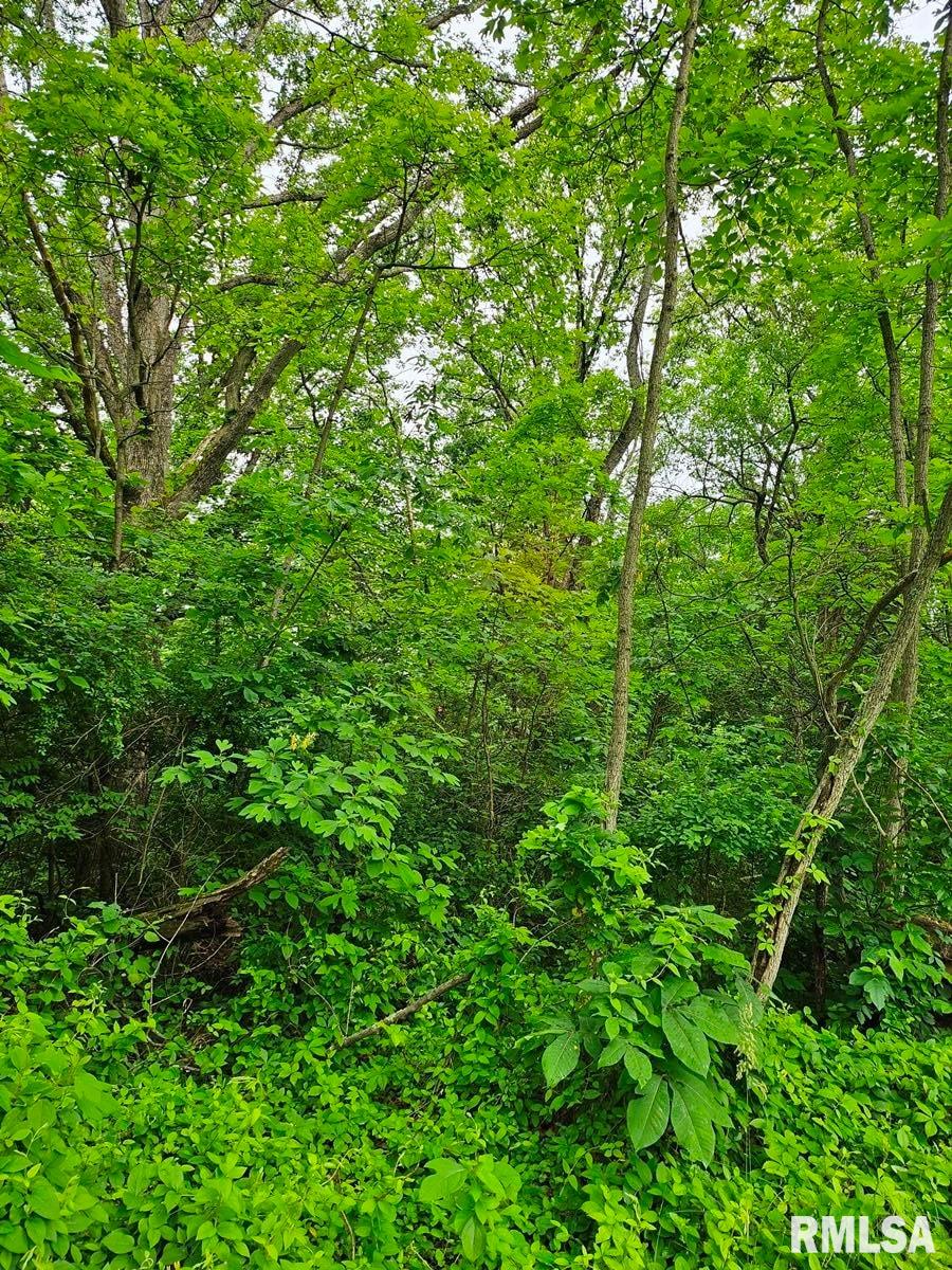 13973 Halliday Road Shipman, IL 62685 - Photo 62 of 66