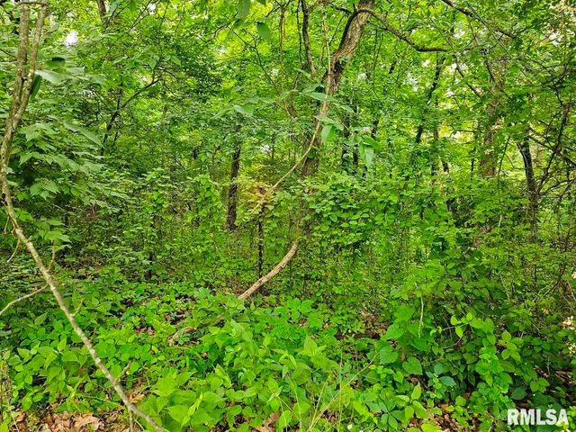 $265,000 | 13973 Halliday Road, Shipman, IL 62685