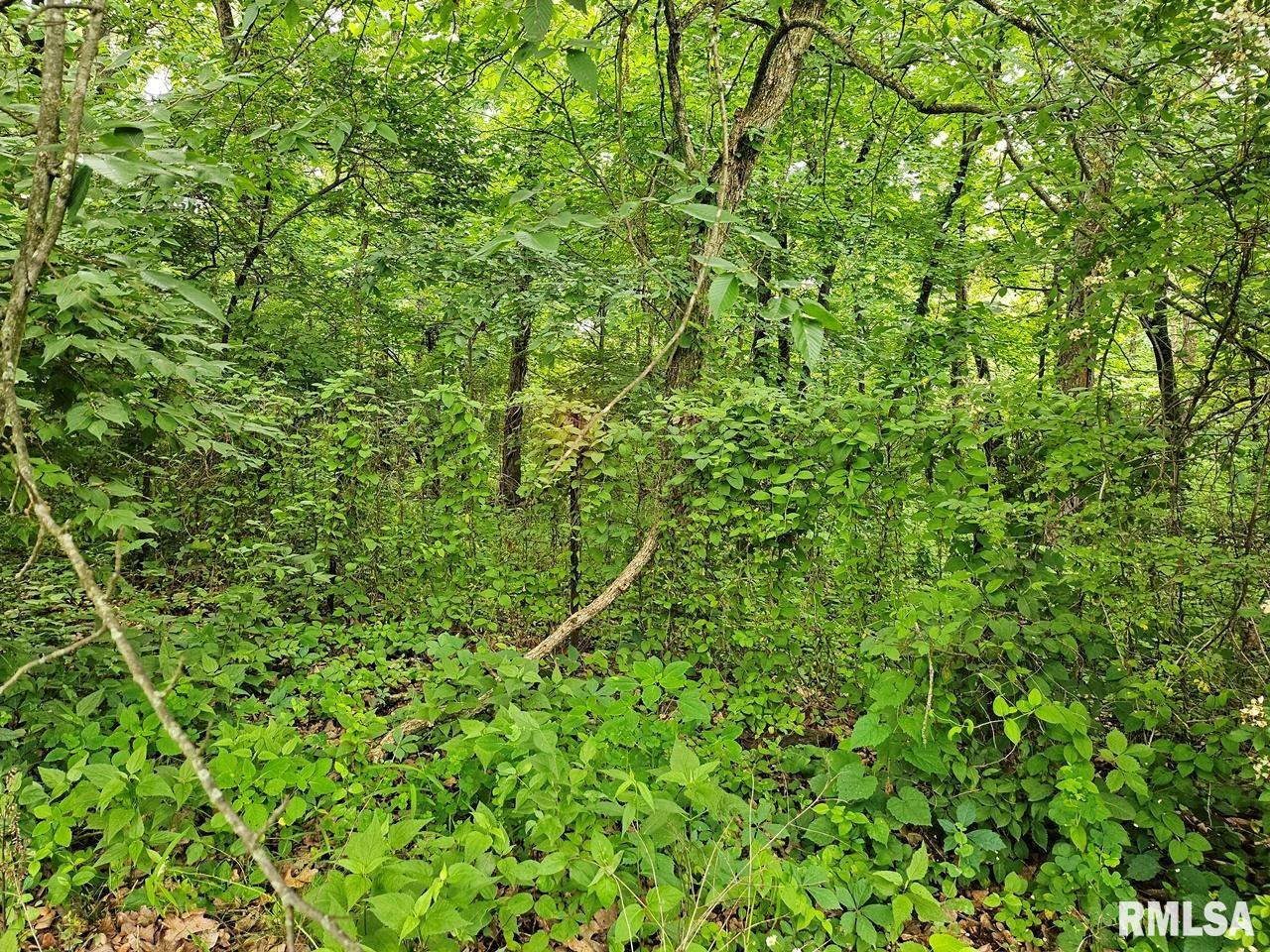 13973 Halliday Road Shipman, IL 62685 - Photo 63 of 66