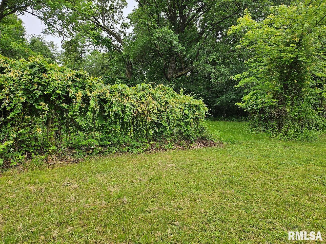 13973 Halliday Road Shipman, IL 62685 - Photo 64 of 66