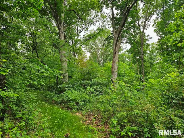 $265,000 | 13973 Halliday Road, Shipman, IL 62685