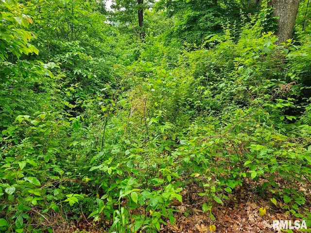 $265,000 | 13973 Halliday Road, Shipman, IL 62685