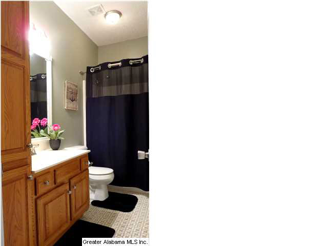 267 Warwick Lane Alabaster, AL 35007 - Photo 15 of 21