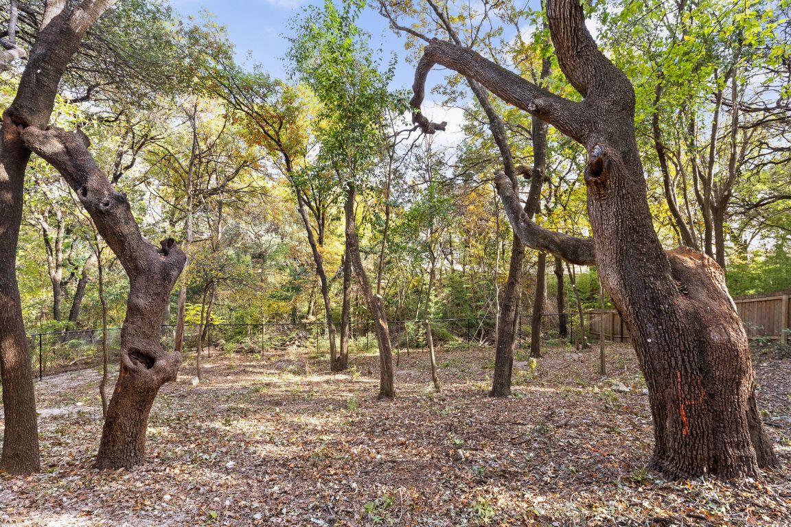 1603 Chelsea Lane, Unit 3 Austin, TX 78704 - Photo 37 of 40 View of undeveloped land