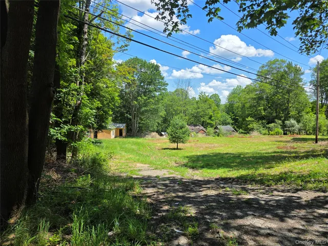 a view of a yard with plants and large trees