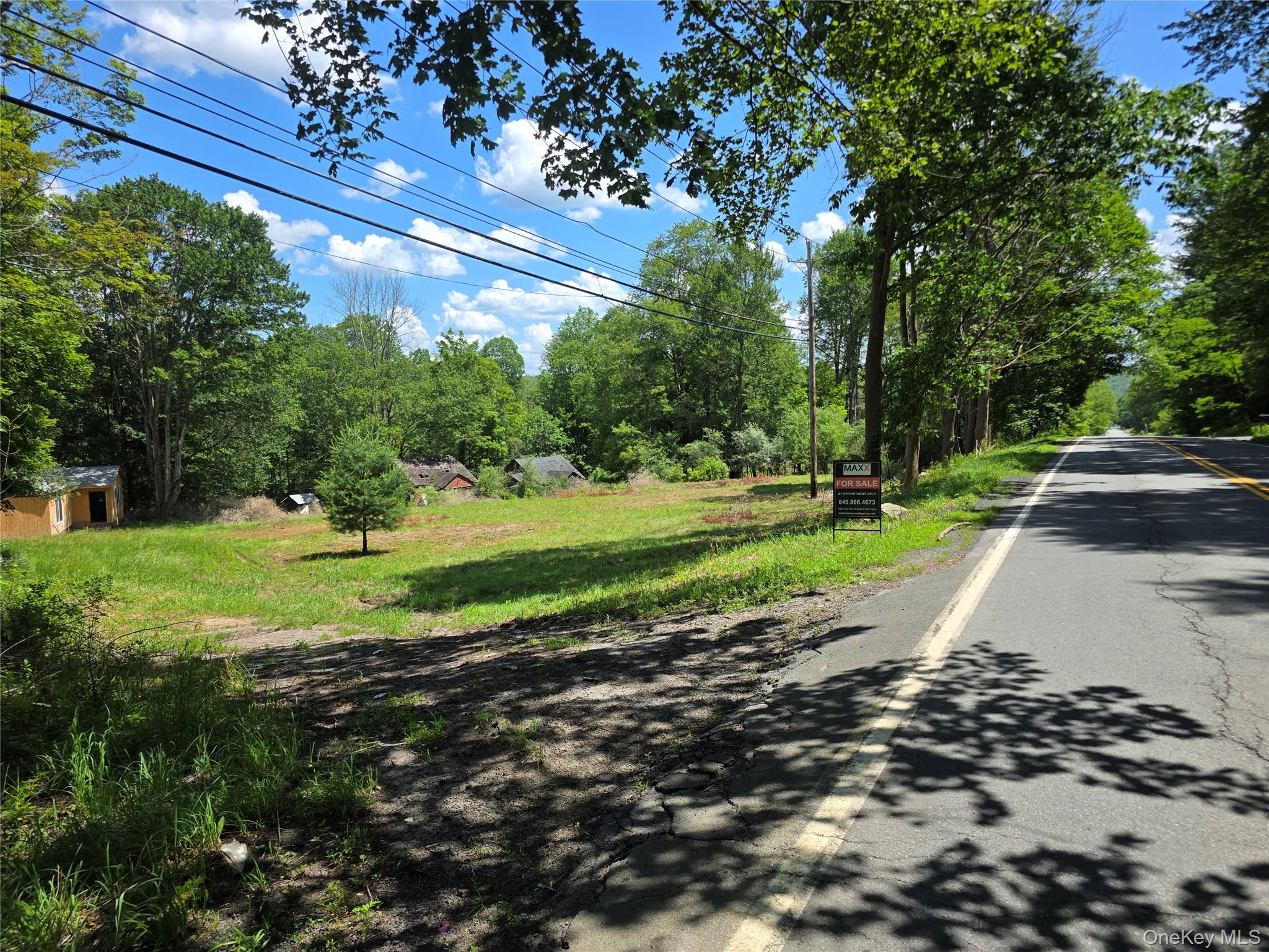 1094 Old Rte 17 Harris, NY 12742 - Photo 5 of 9