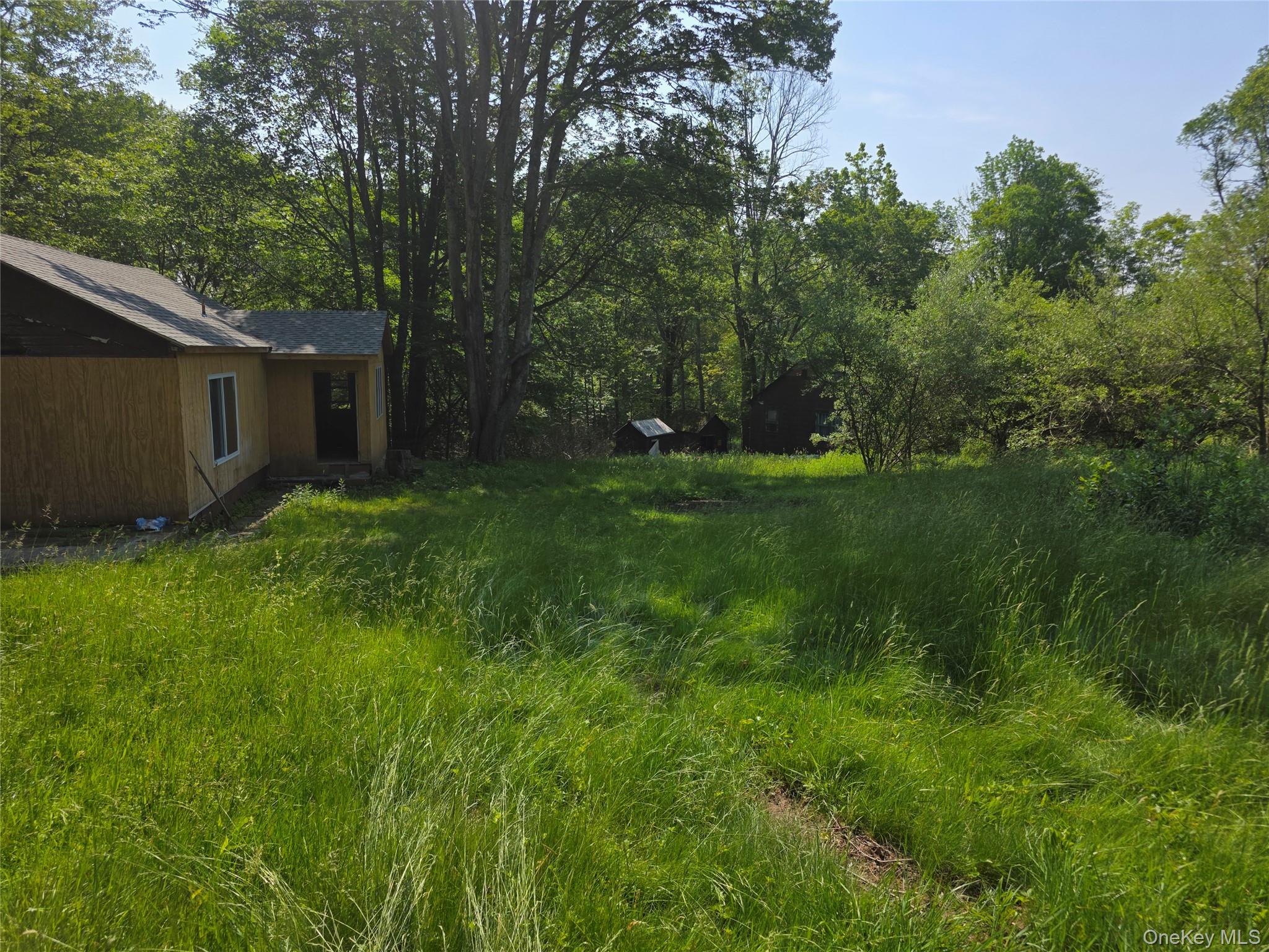 1094 Old Rte 17 Harris, NY 12742 - Photo 6 of 9 a backyard of a house with lots of green space