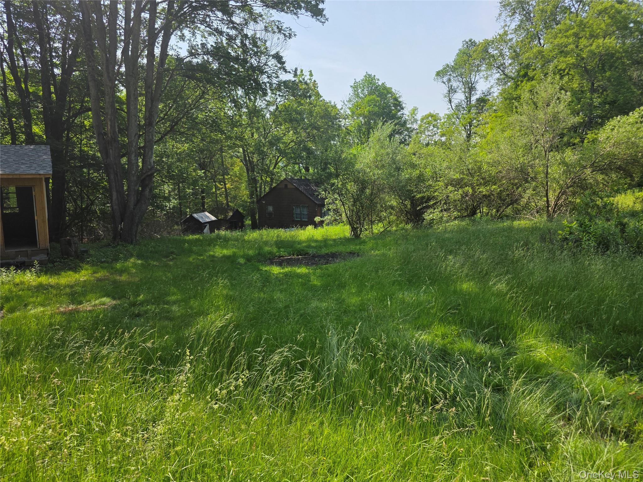 1094 Old Rte 17 Harris, NY 12742 - Photo 7 of 9 a backyard of a house with plants and large tree