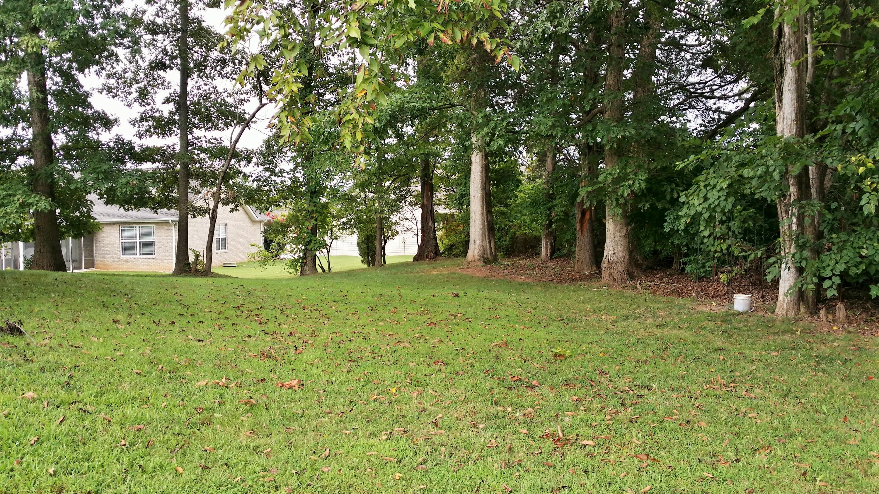 7728 Cotton Patch Road Corryton, TN 37721 - Photo 21 of 21 2014-09-09 10