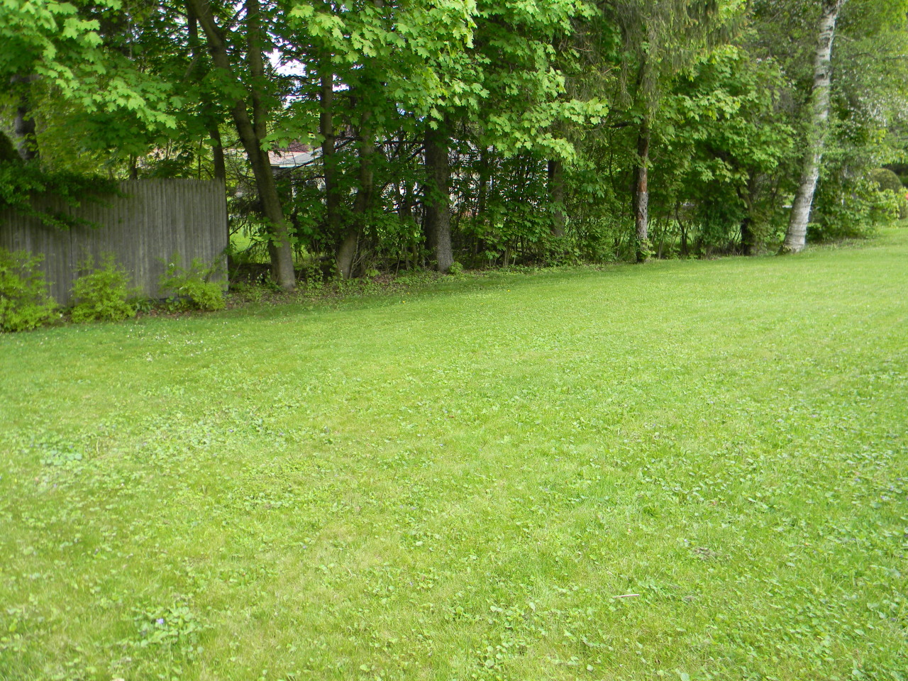 10 Ridge Avenue Pittsfield, MA 01201 - Photo 18 of 21 Back Yard