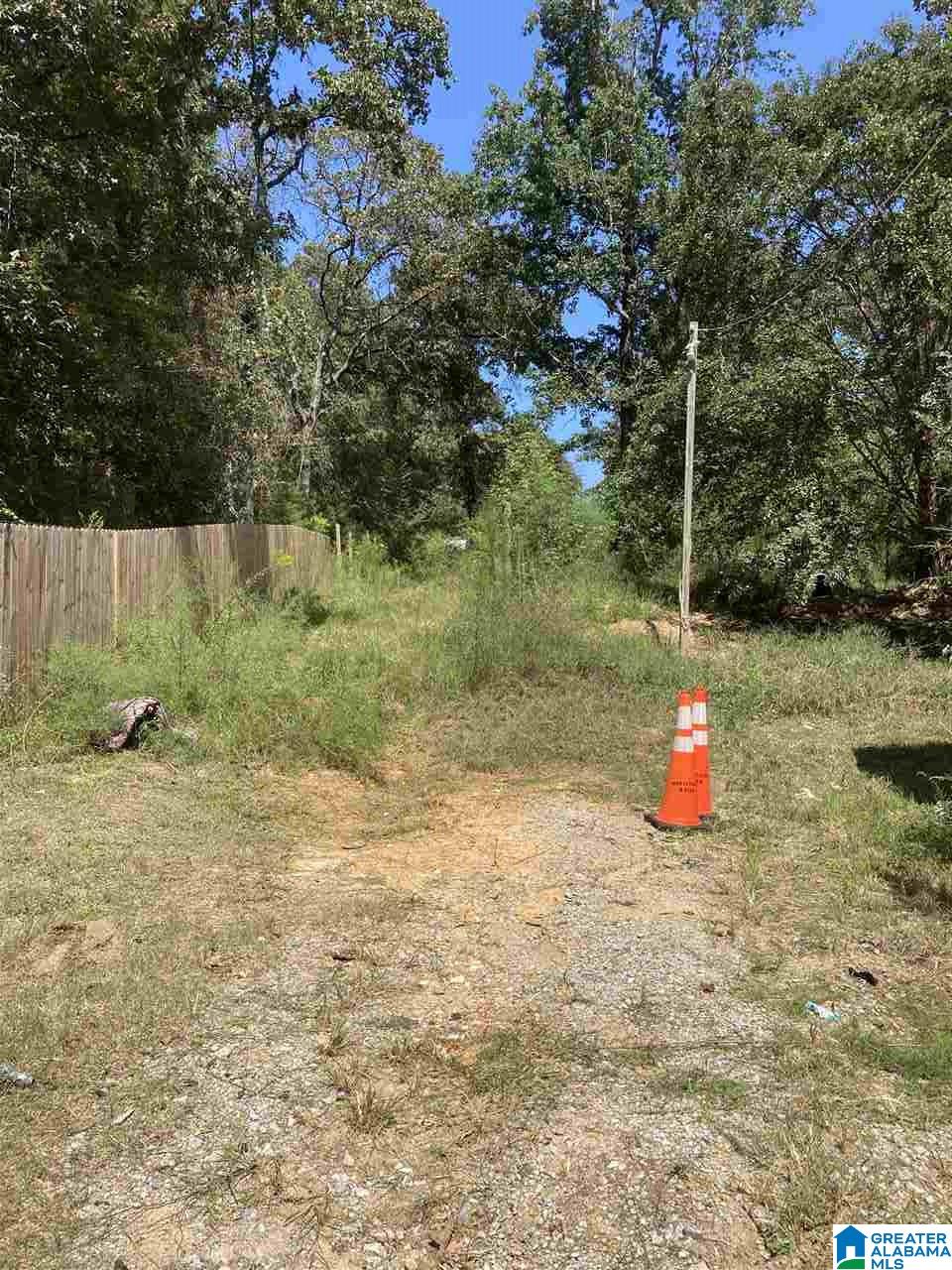 960 County Road 774 Montevallo, AL 35115 - Photo 3 of 3