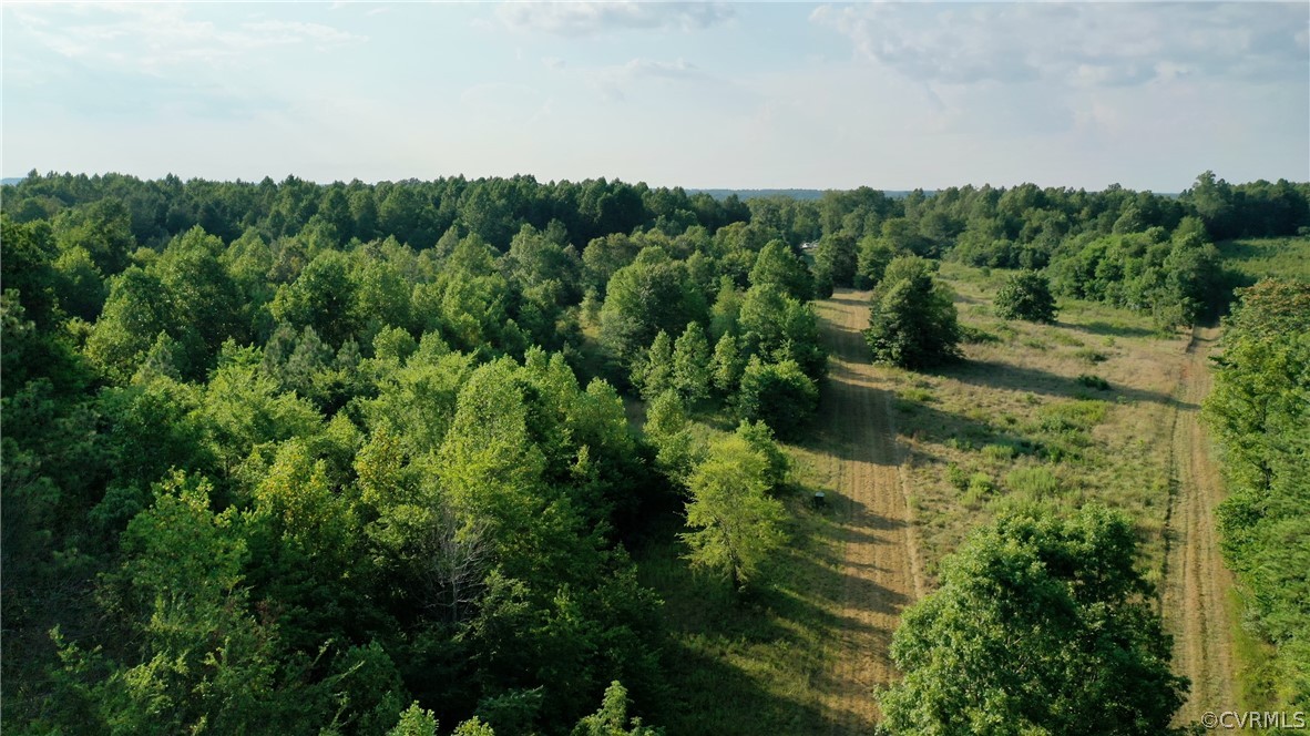 295 Physic Spring Road Dillwyn, VA 23936 - Photo 1 of 24 Gallery Image 1