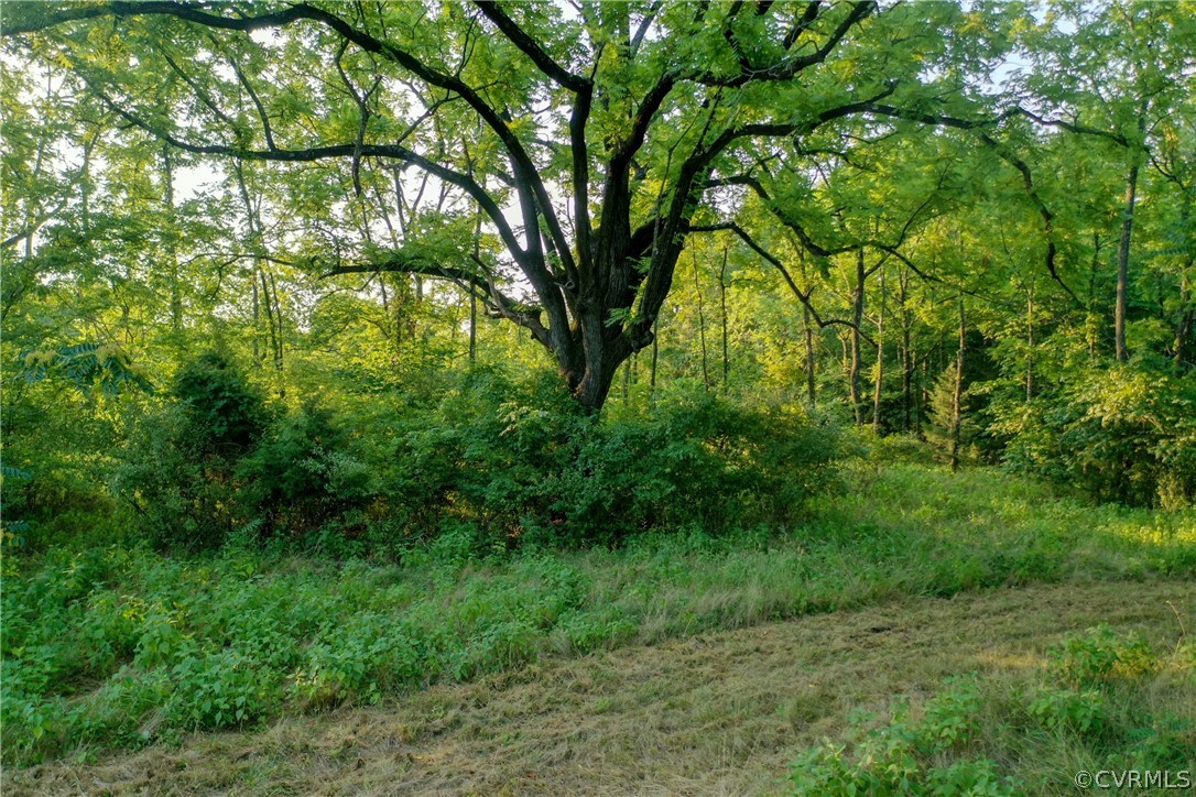 295 Physic Spring Road Dillwyn, VA 23936 - Photo 12 of 24 Gallery Image 12