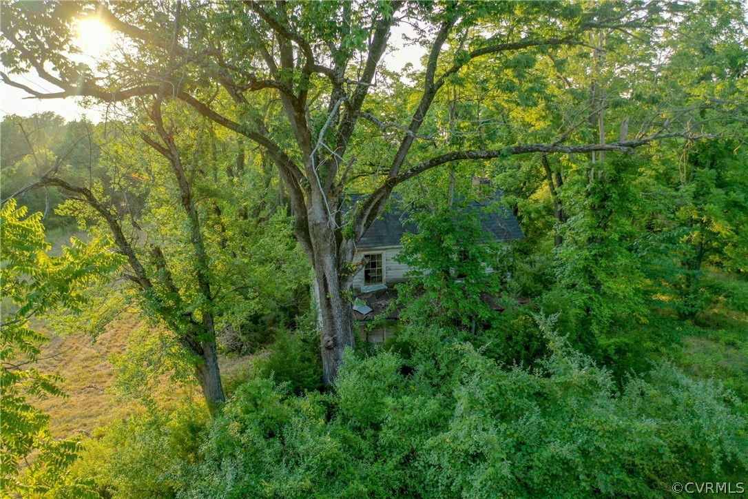 295 Physic Spring Road Dillwyn, VA 23936 - Photo 15 of 24 Gallery Image 15