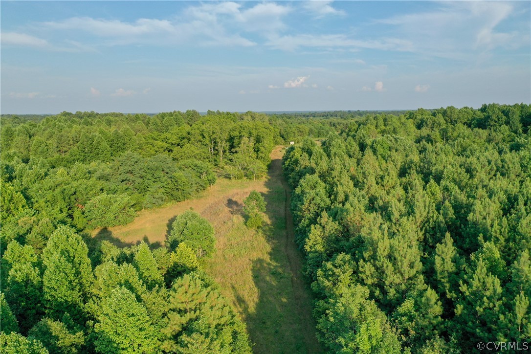 295 Physic Spring Road Dillwyn, VA 23936 - Photo 6 of 24 Gallery Image 6