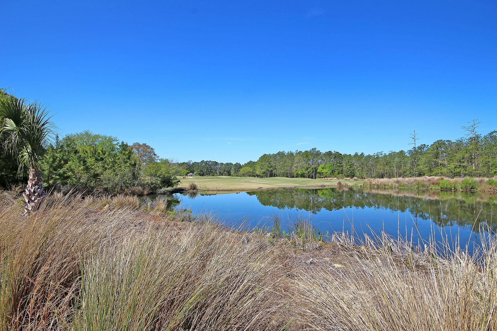 2795 Olympia Fields Lane Mount Pleasant, SC 29466 - Photo 67 of 68 Gorgeous Neighborhood