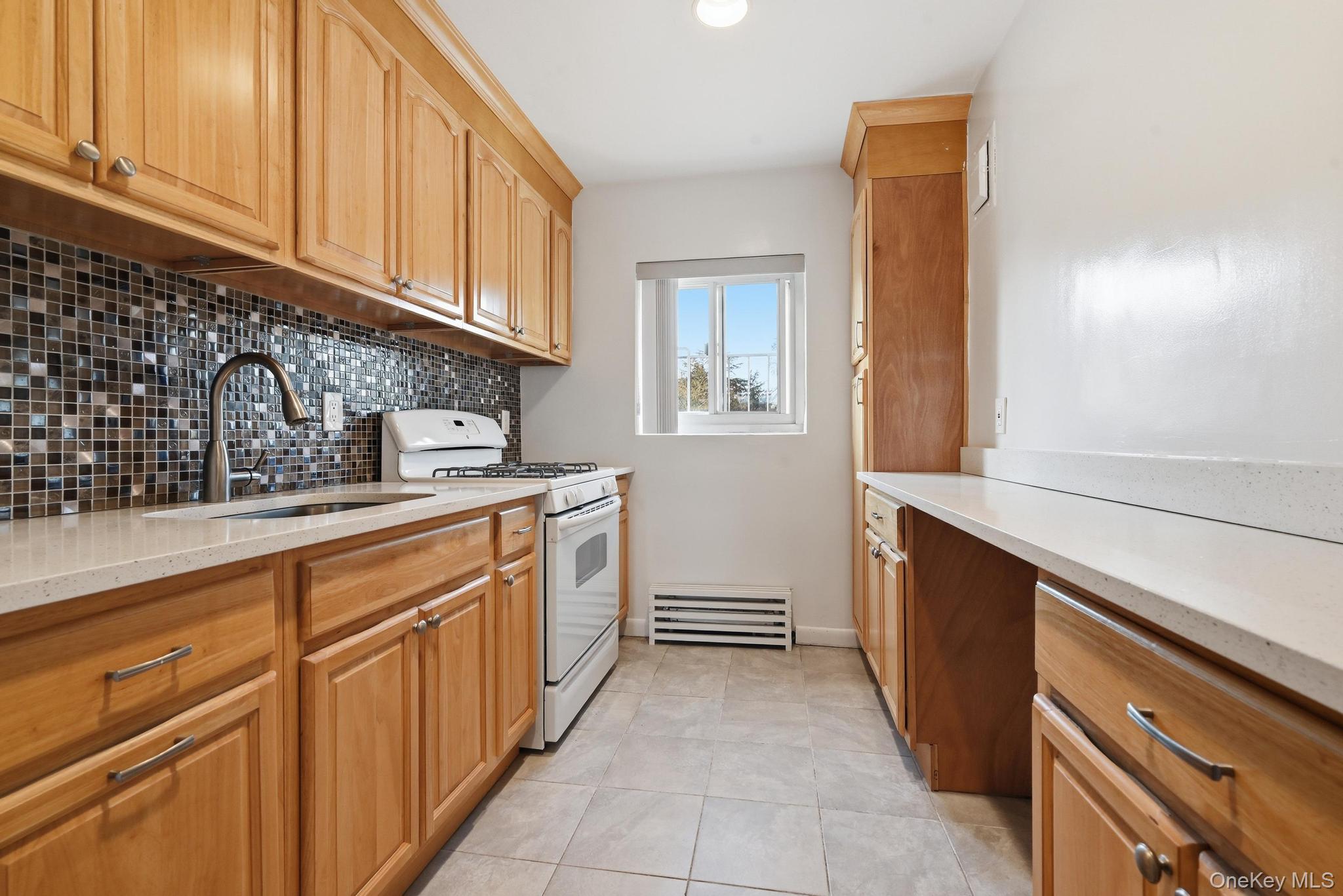 221 South Middle Neck Road, Unit F6 Great Neck, NY 11021 - Photo 11 of 16 a kitchen with a sink and cabinets