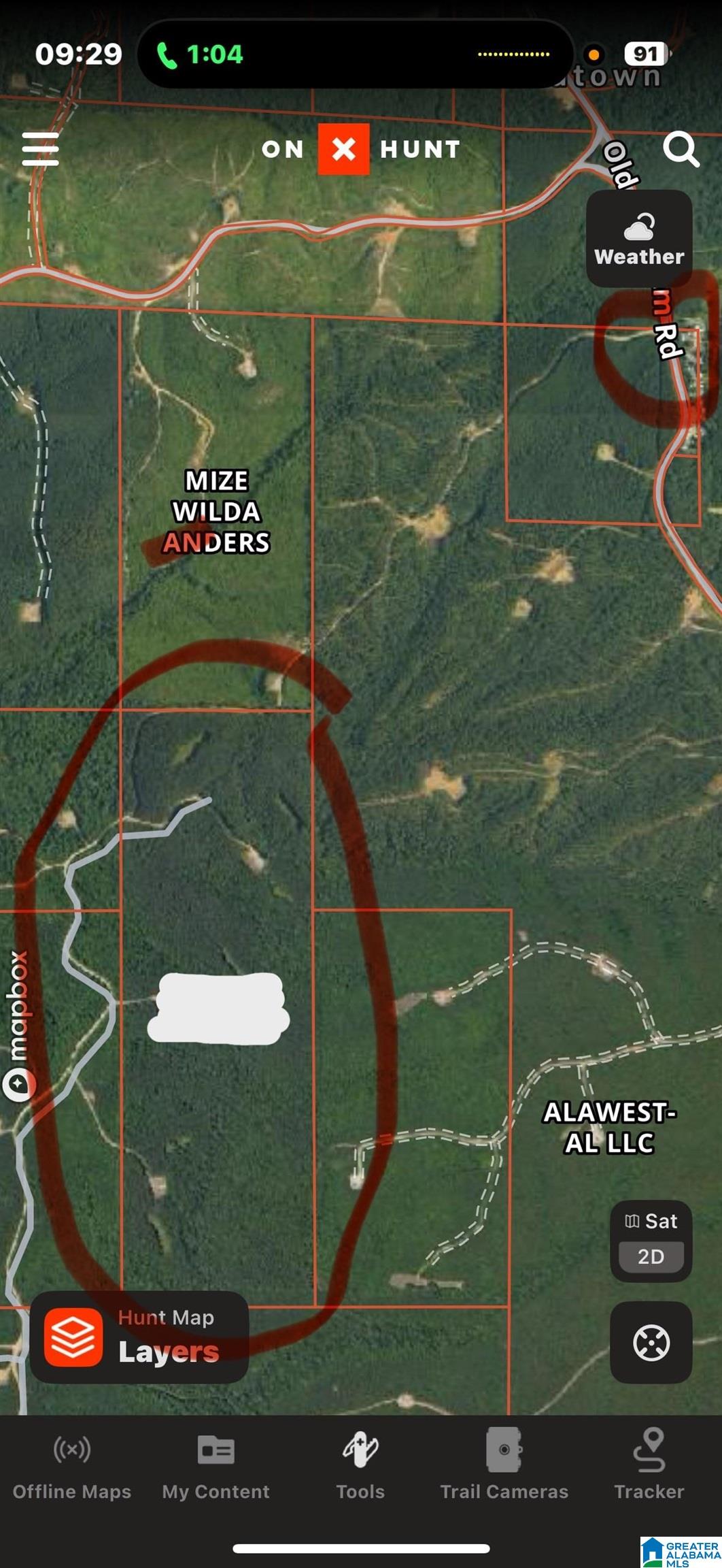 Lot Wp Lot Wp Road, Unit 1 Berry, AL 35546 - Photo 4 of 5