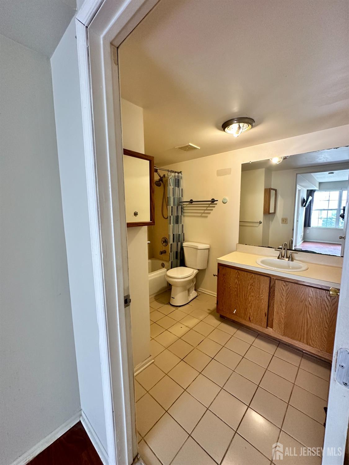 407 Plymouth Road North Brunswick, NJ 08902 - Photo 13 of 16 a bathroom with a sink mirror and toilet